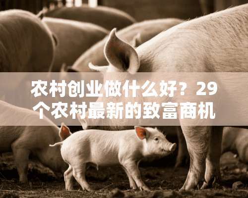 农村创业做什么好？29个农村最新的致富商机