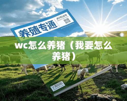 wc怎么养猪（我要怎么养猪）