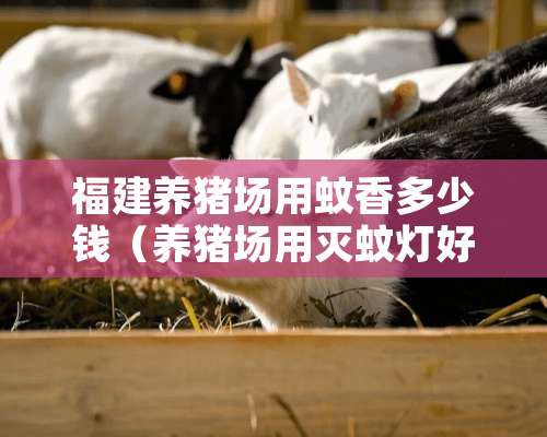 福建养猪场用蚊香多少钱（养猪场用灭蚊灯好还是蚊香好）