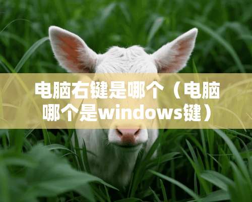 电脑右键是哪个（电脑哪个是windows键）