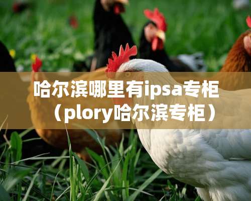 哈尔滨哪里有ipsa专柜（plory哈尔滨专柜）