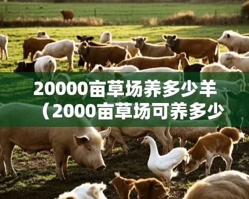 20000亩草场养多少羊（2000亩草场可养多少头羊）