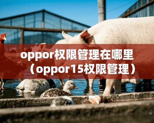 oppor权限管理在哪里（oppor15权限管理）