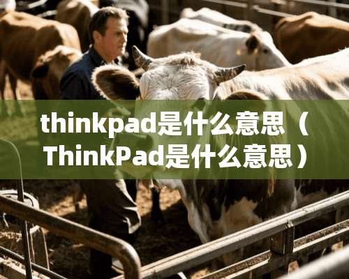 thinkpad是什么意思（ThinkPad是什么意思）