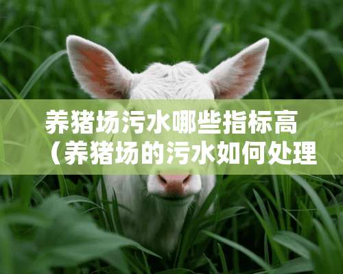 养猪场污水哪些指标高（养猪场的污水如何处理才能达标）