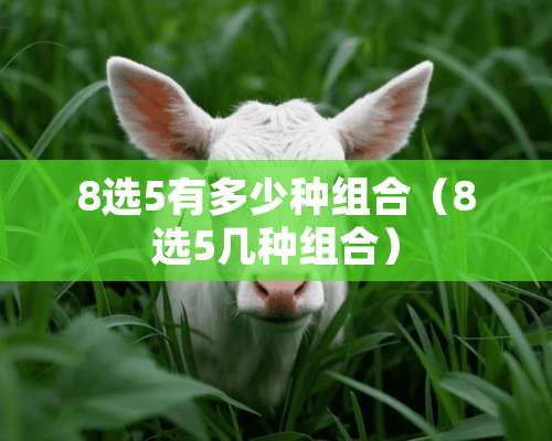 8选5有多少种组合（8选5几种组合）