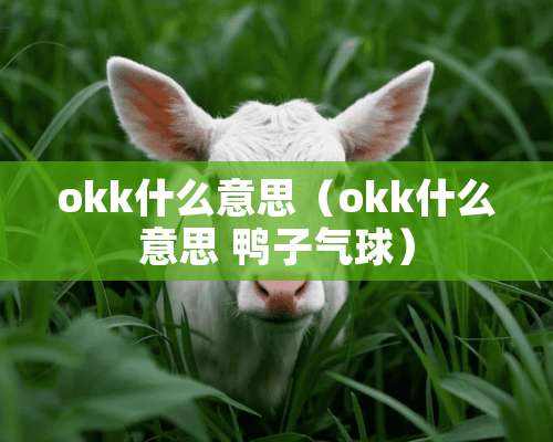 okk什么意思（okk什么意思 鸭子气球）