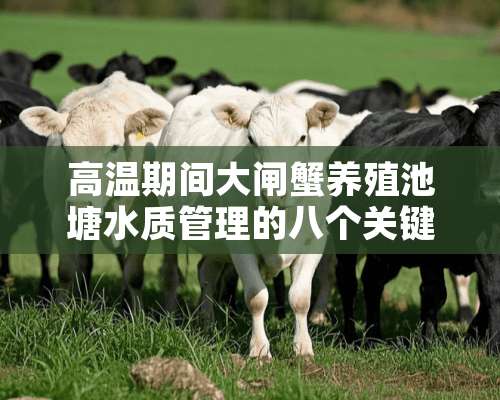 高温期间大闸蟹养殖池塘水质管理的八个关键技术