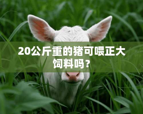 20公斤重的猪可喂正大饲料吗？