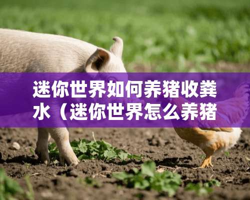 迷你世界如何养猪收粪水（迷你世界怎么养猪养羊）