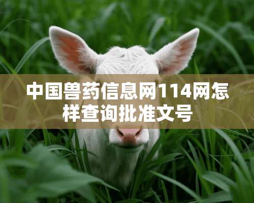 中国兽药信息网114网怎样查询批准文号