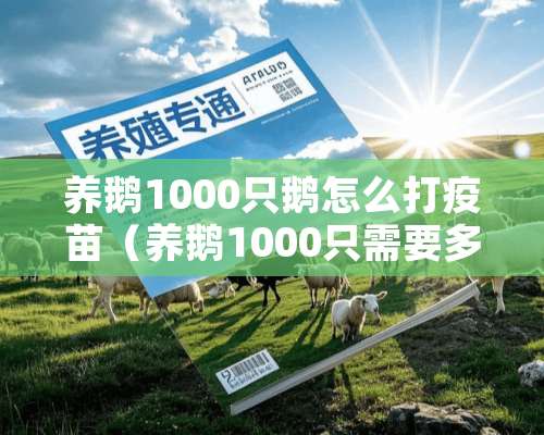 养鹅1000只鹅怎么打疫苗（养鹅1000只需要多少钱）