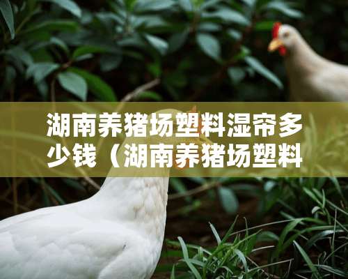 湖南养猪场塑料湿帘多少钱（湖南养猪场塑料湿帘多少钱一个）