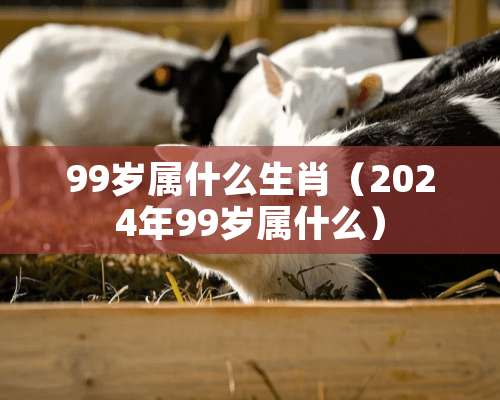 99岁属什么生肖（2024年99岁属什么）