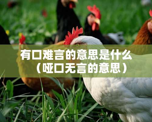 有口难言的意思是什么（哑口无言的意思）