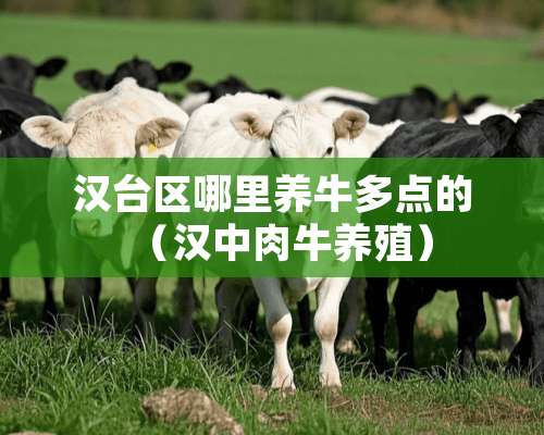 汉台区哪里养牛多点的（汉中肉牛养殖）