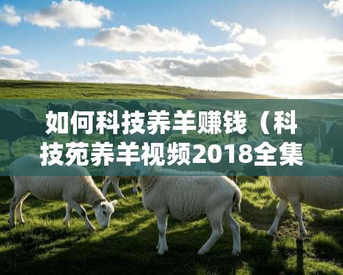 如何科技养羊赚钱（科技苑养羊视频2018全集）