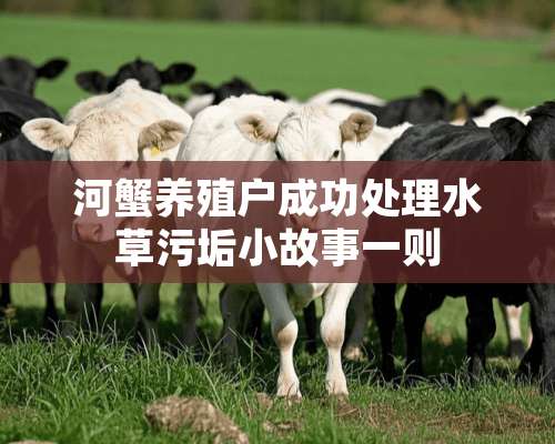 河蟹养殖户成功处理水草污垢小故事一则