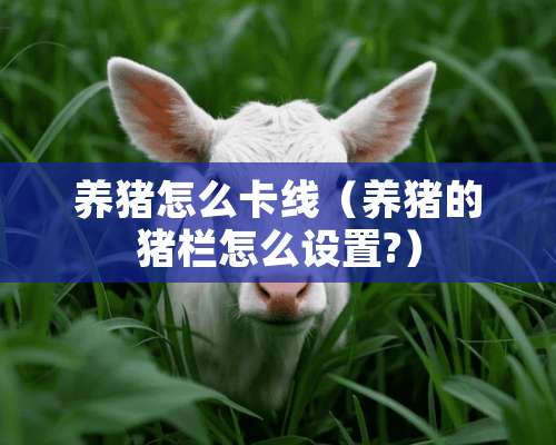 养猪怎么卡线（养猪的猪栏怎么设置?）