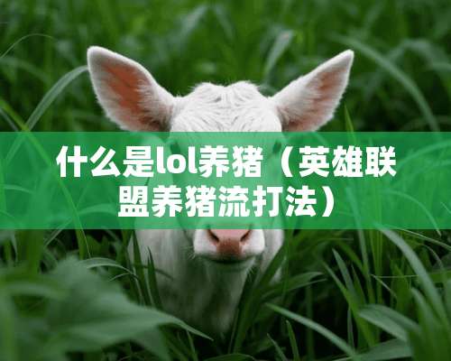 什么是lol养猪（英雄联盟养猪流打法）