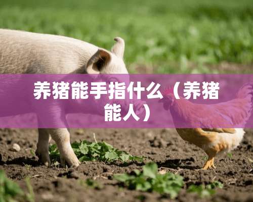 养猪能手指什么（养猪能人）