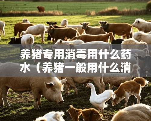 养猪专用消毒用什么药水（养猪一般用什么消毒）