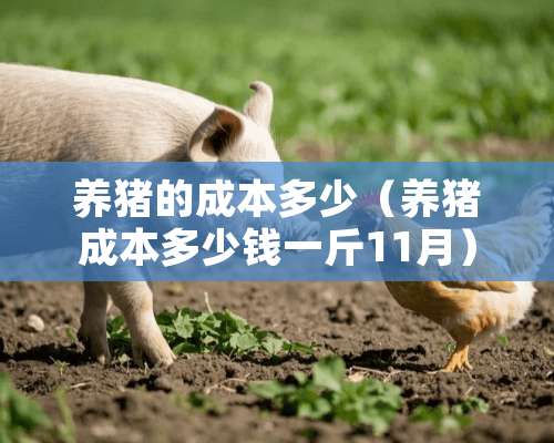 养猪的成本多少（养猪成本多少钱一斤11月）