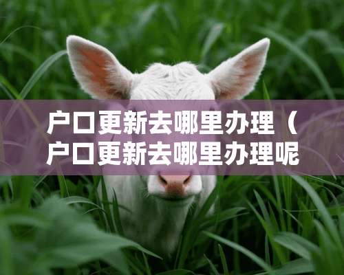 户口更新去哪里办理（户口更新去哪里办理呢）