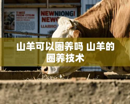 山羊可以圈养吗 山羊的圈养技术