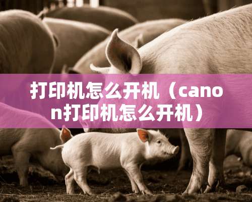 打印机怎么开机（canon打印机怎么开机）