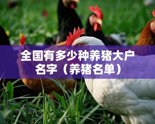 全国有多少种养猪大户名字（养猪名单）