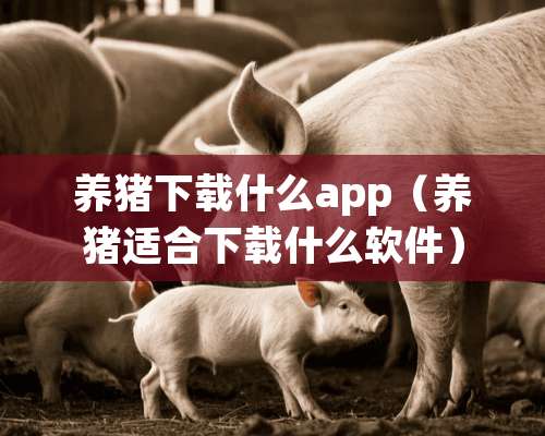 养猪下载什么app（养猪适合下载什么软件）