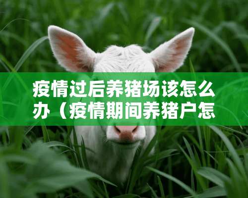 疫情过后养猪场该怎么办（疫情期间养猪户怎么进料）