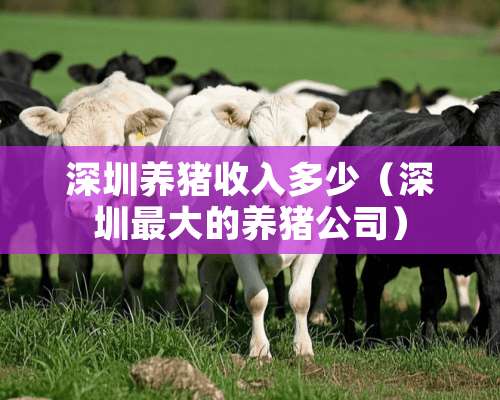 深圳养猪收入多少（深圳最大的养猪公司）