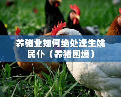 养猪业如何绝处逢生姚民仆（养猪困境）