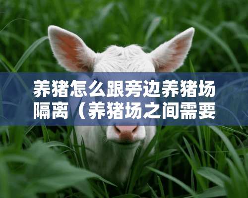 养猪怎么跟旁边养猪场隔离（养猪场之间需要隔离多远）