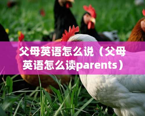 父母英语怎么说（父母英语怎么读parents）