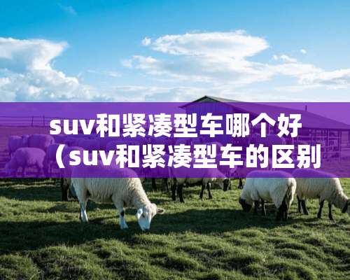 suv和紧凑型车哪个好（suv和紧凑型车的区别）