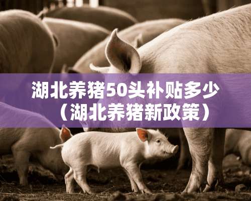 湖北养猪50头补贴多少（湖北养猪新政策）