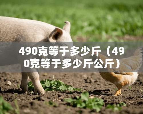 490克等于多少斤（490克等于多少斤公斤）