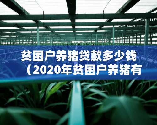 贫困户养猪贷款多少钱（2020年贫困户养猪有补贴吗）