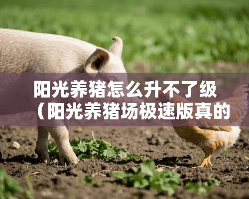 阳光养猪怎么升不了级（阳光养猪场极速版真的能提现吗）