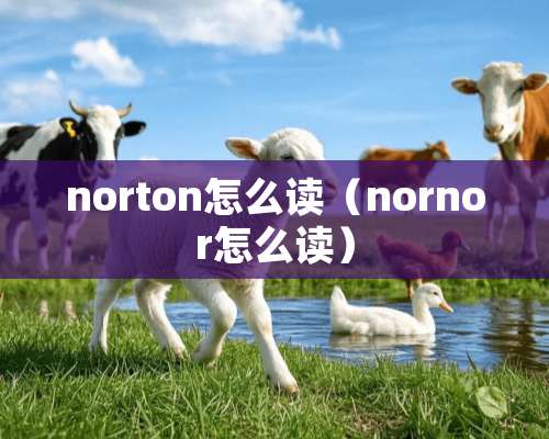 norton怎么读（nornor怎么读）