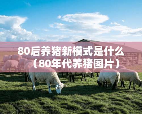 80后养猪新模式是什么（80年代养猪图片）