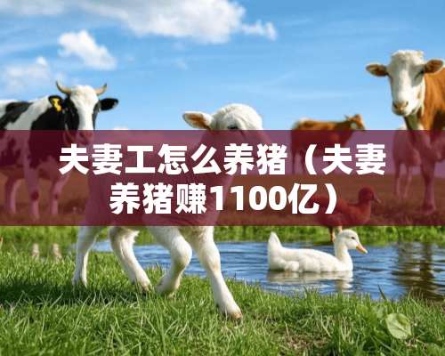 夫妻工怎么养猪（夫妻养猪赚1100亿）