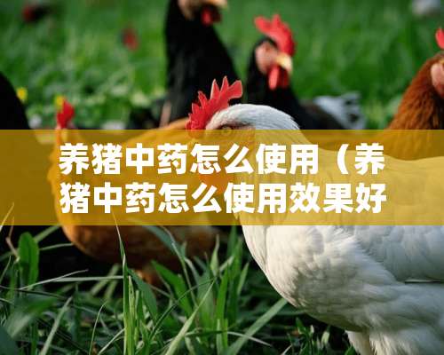 养猪中药怎么使用（养猪中药怎么使用效果好）