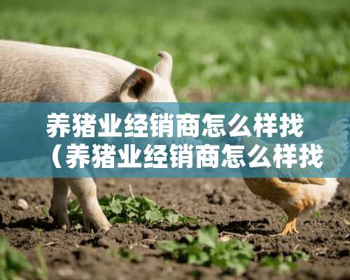 养猪业经销商怎么样找（养猪业经销商怎么样找客户）