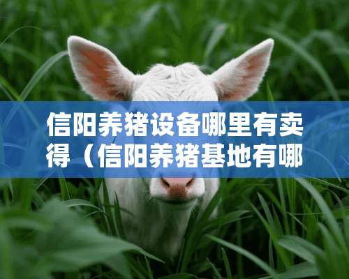 信阳养猪设备哪里有卖得（信阳养猪基地有哪些）