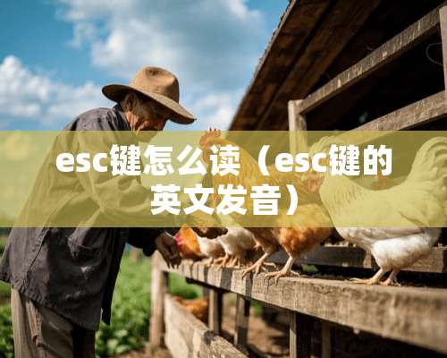 esc键怎么读（esc键的英文发音）