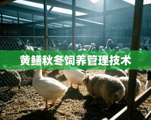 黄鳝秋冬饲养管理技术